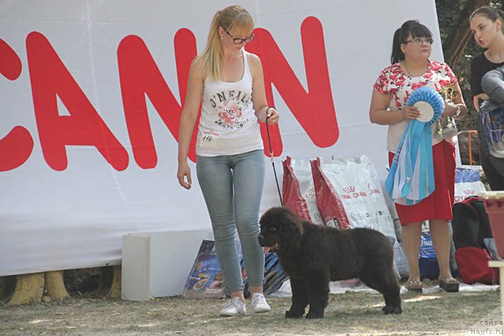 Фотография № 228834