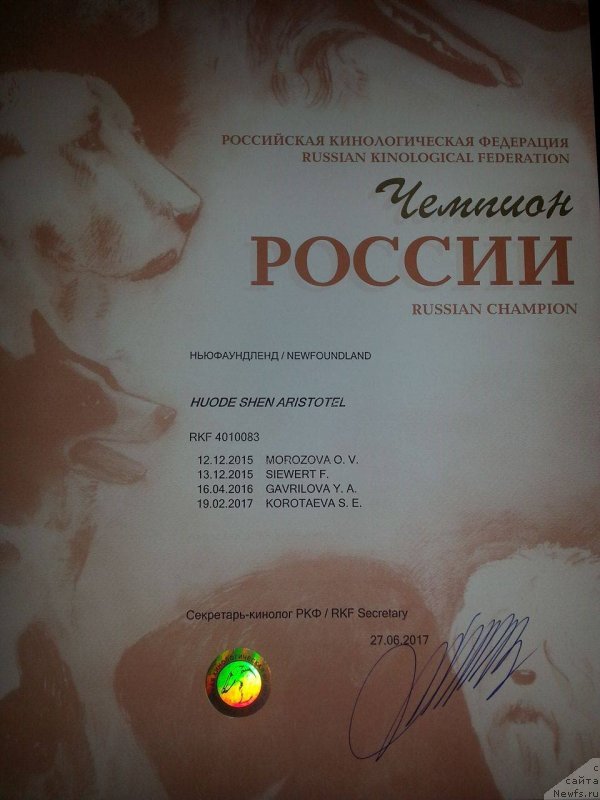 Фотография № 228839