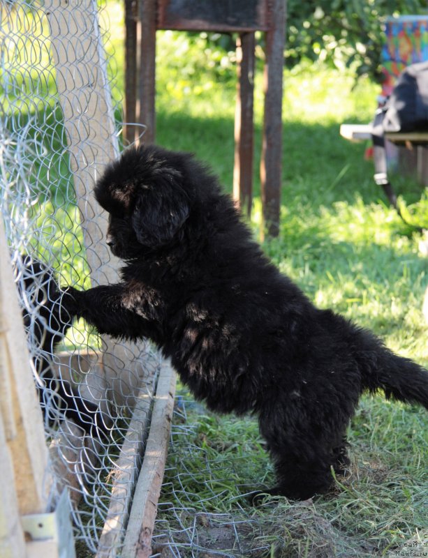 Фотография № 228847