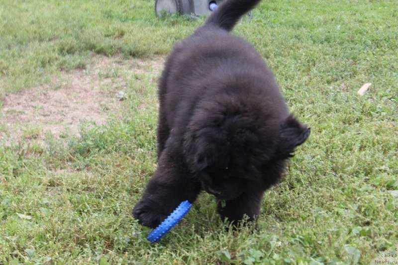 Фотография № 228857