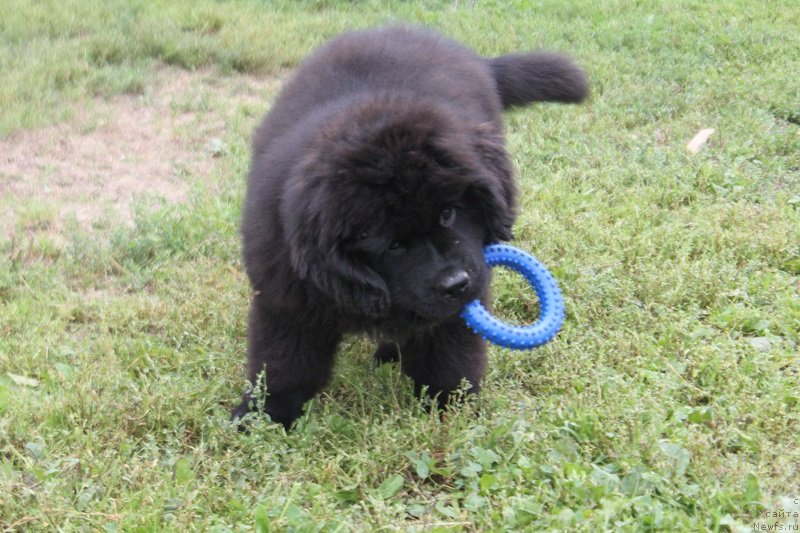 Фотография № 228858