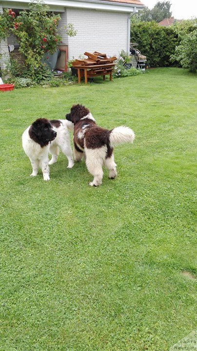 Фотография № 228867