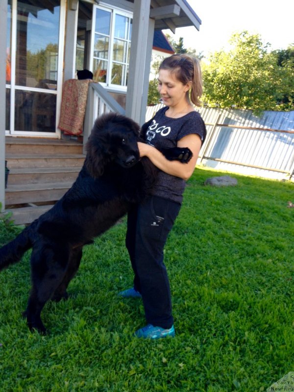 Фотография № 228871