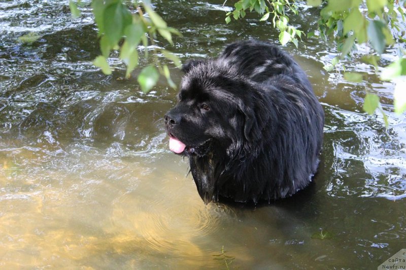 Фотография № 228875