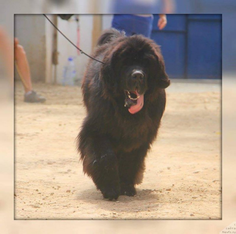 Фотография № 228876