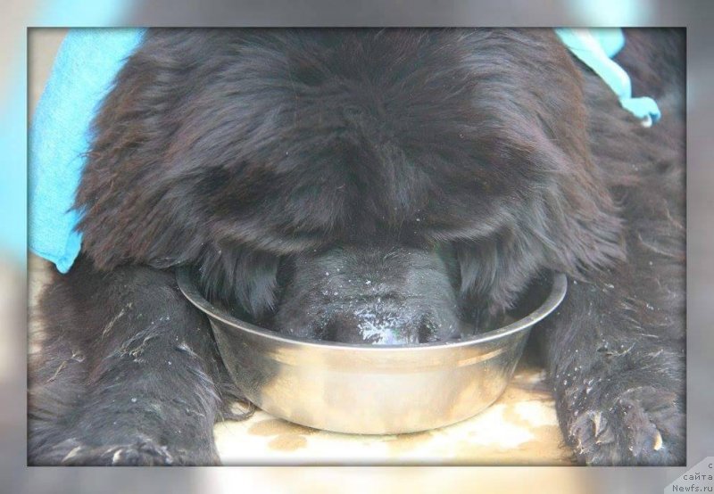 Фотография № 228878