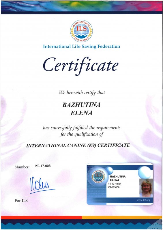 Фото: Елена Бажутина