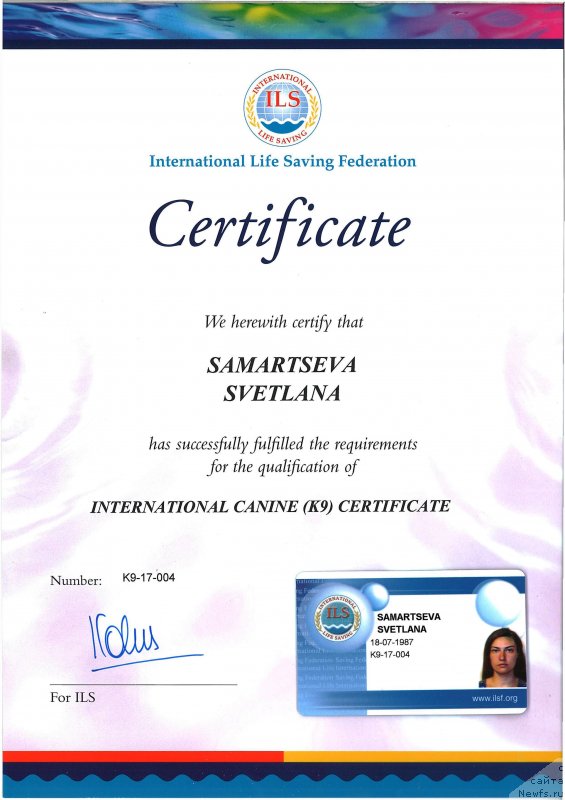 Фото: Светлана Самарцева