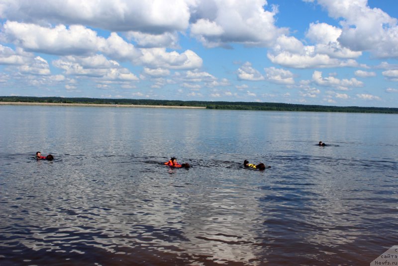 Фотография № 228904