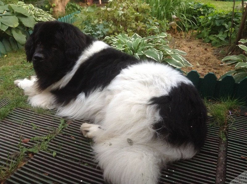 Фотография № 228914