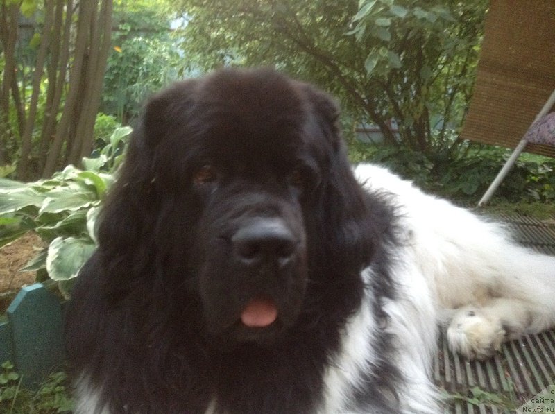 Фотография № 228917