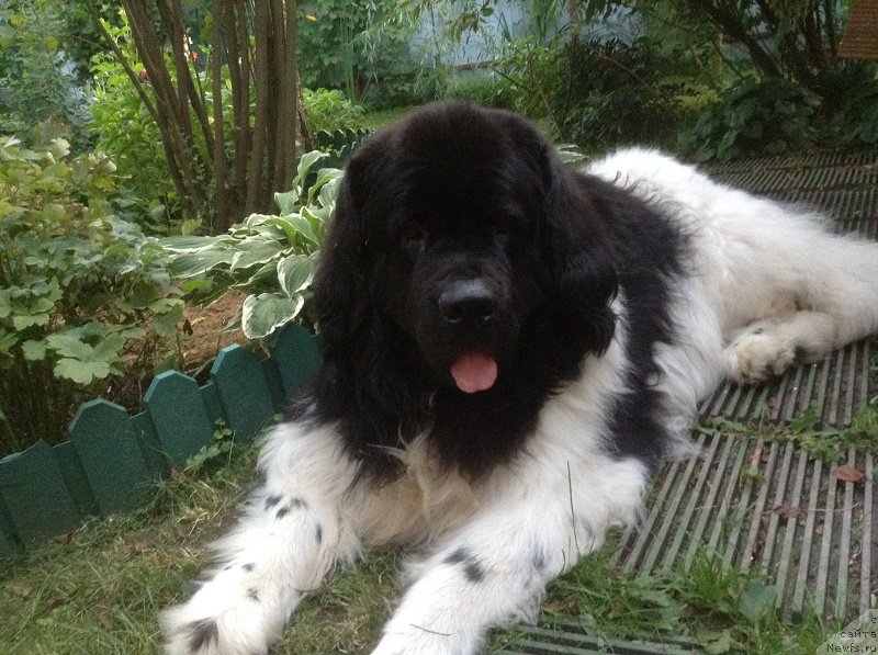 Фотография № 228920