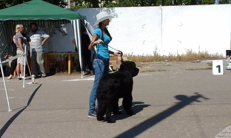 Фотография № 228930