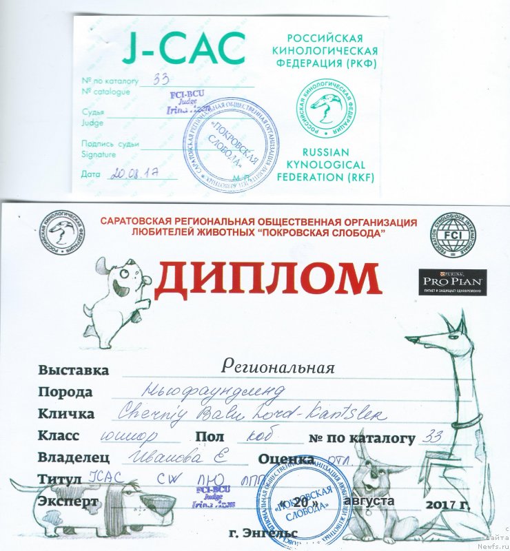 Фотография № 228931