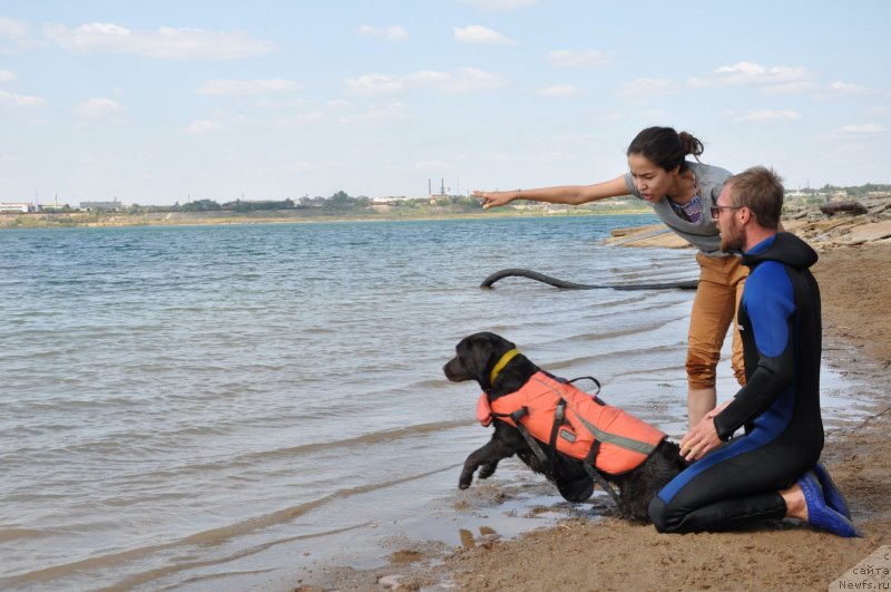 Фотография № 228933