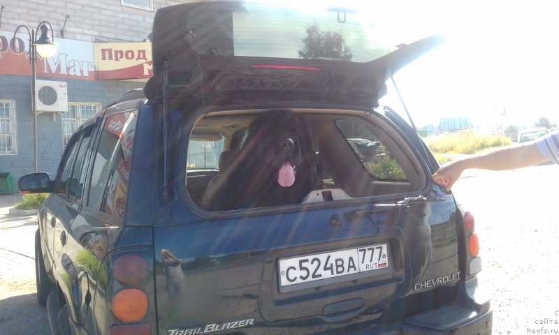 Фотография № 228938