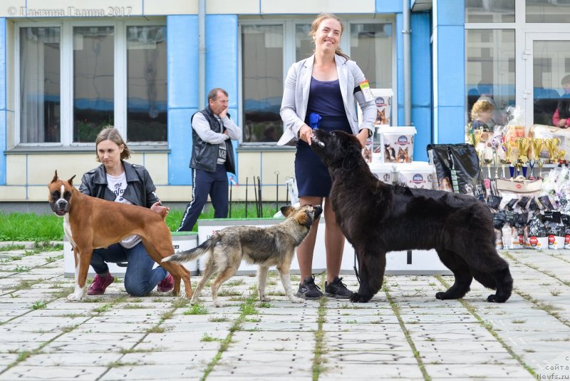 Фотография № 228946