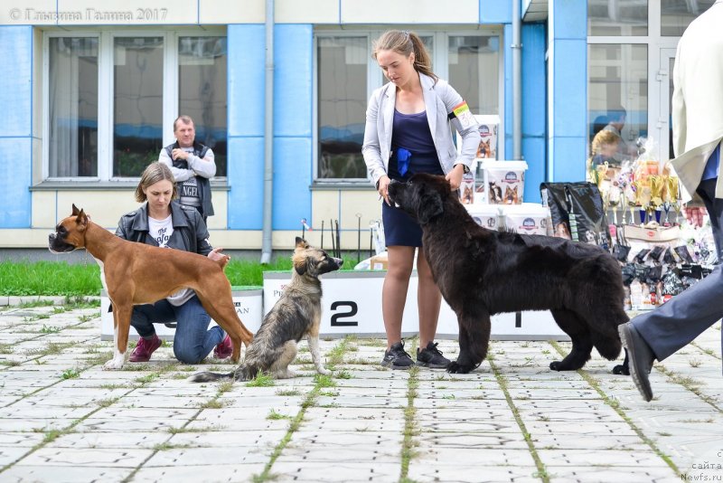 Фотография № 228947