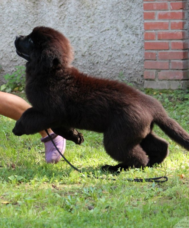 Фотография № 228952