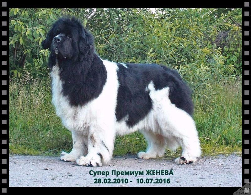 Фотография № 228964