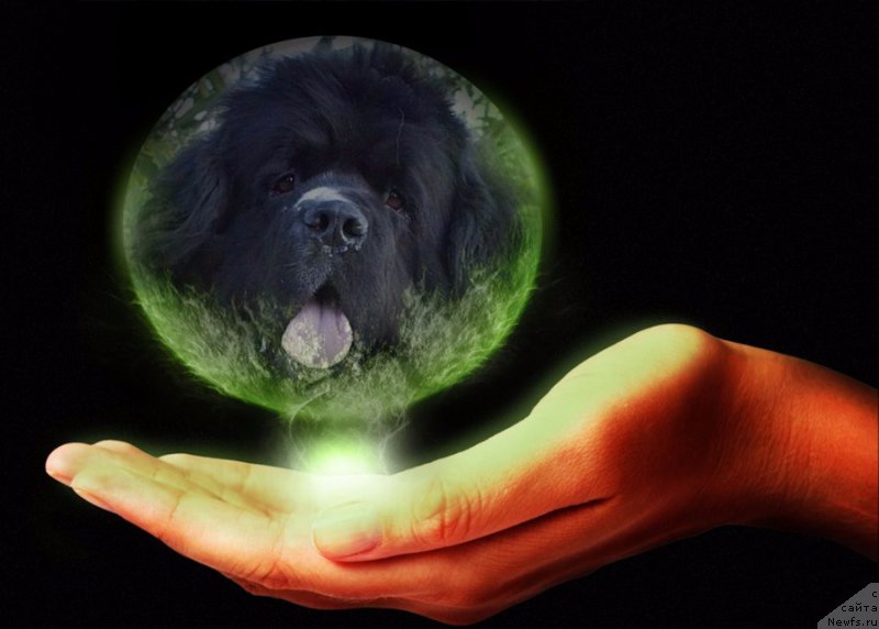 Фотография № 228965