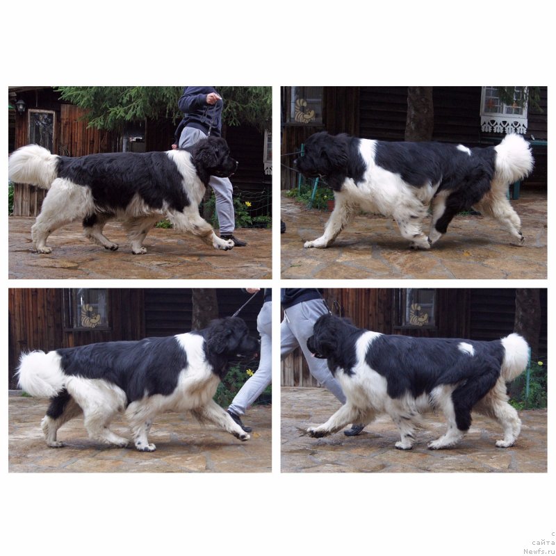 Фотография № 228966