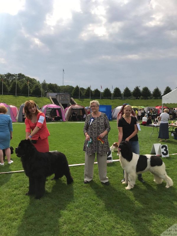 Фотография № 228974