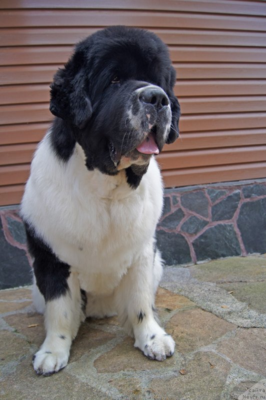 Фотография № 228975