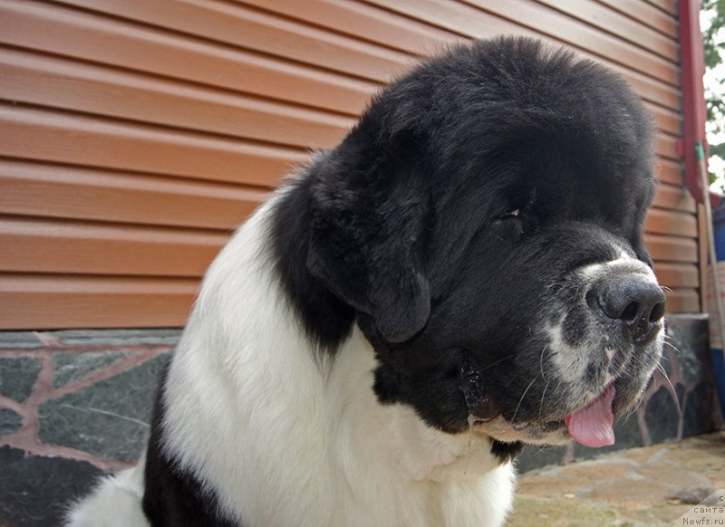 Фотография № 228976