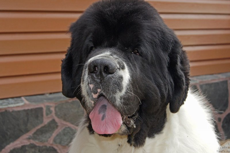 Фотография № 228977