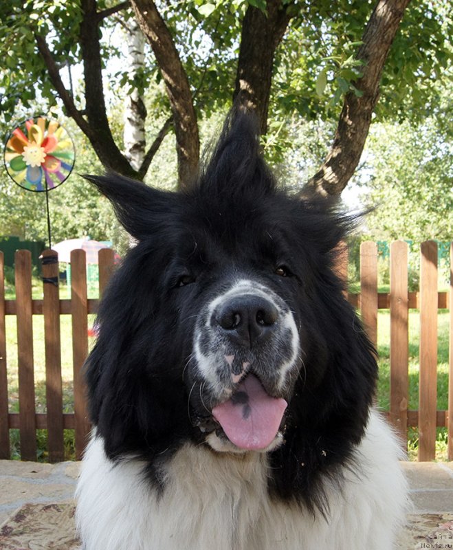 Фотография № 228988