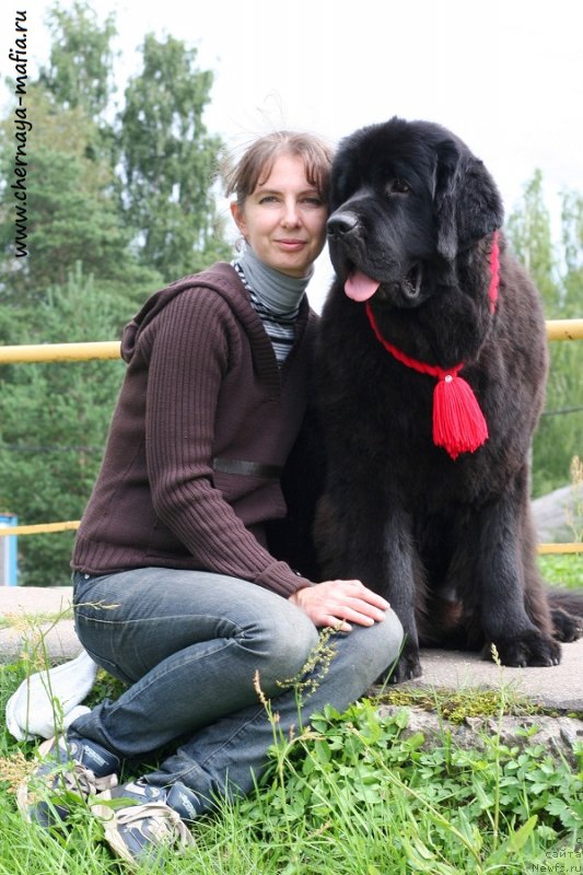 Фотография № 229013