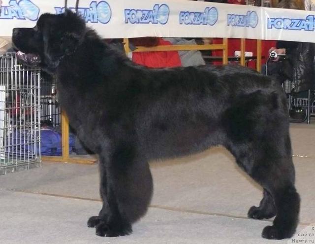 Фотография № 22912