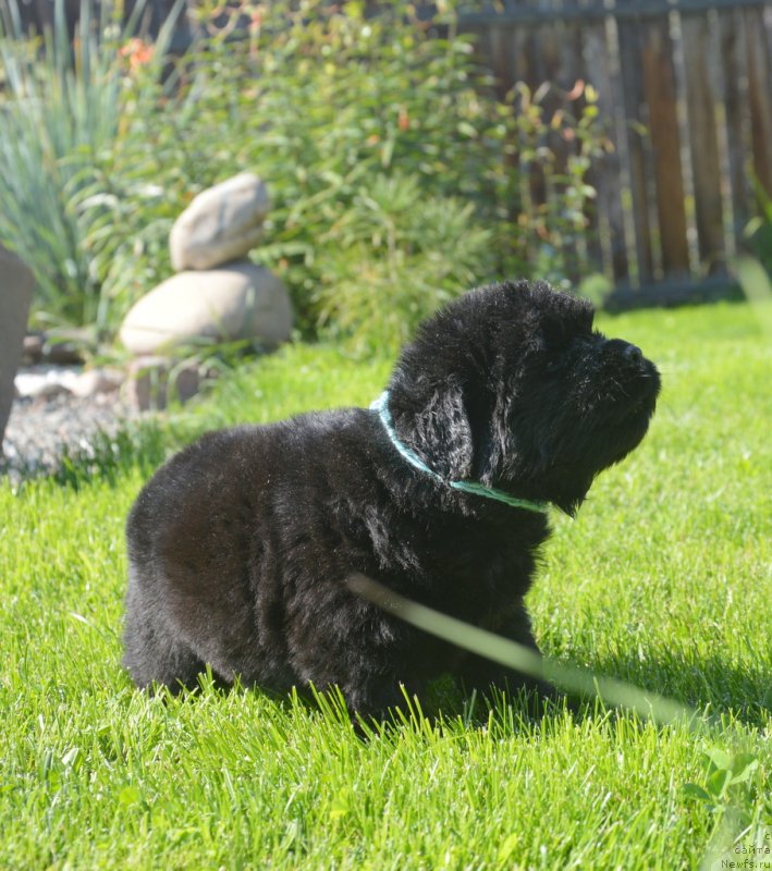 Фотография № 229158