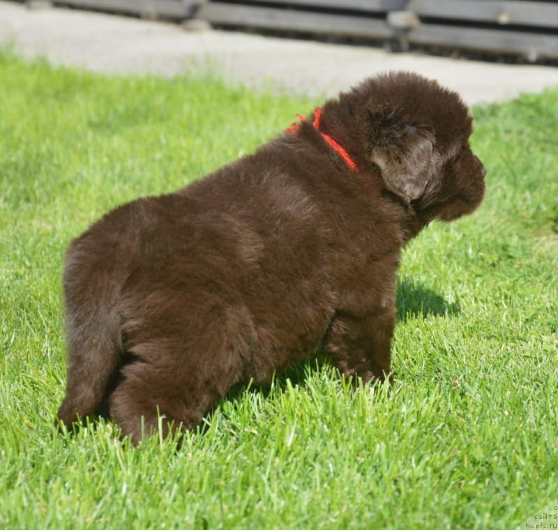 Фотография № 229162