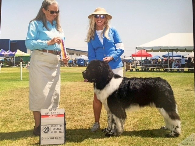 Фотография № 229189