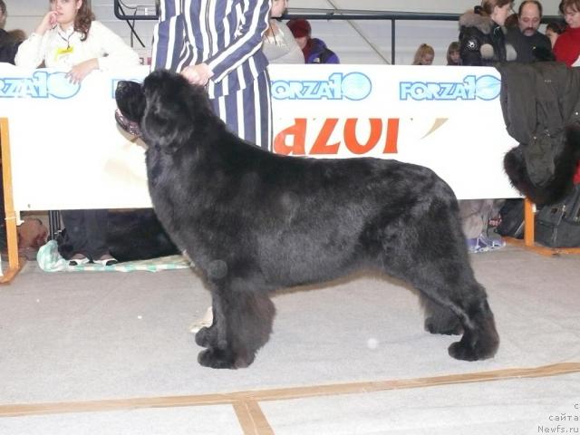 Фотография № 22924