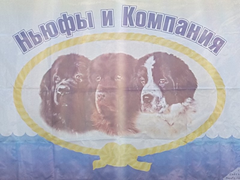 Фотография № 229247