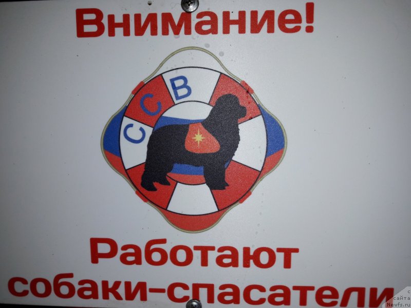 Фотография № 229251