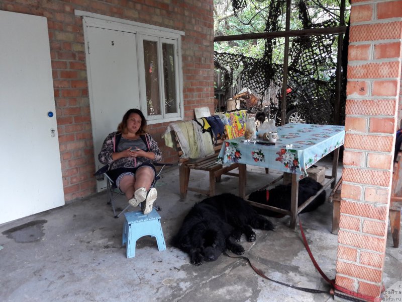 Фотография № 229254