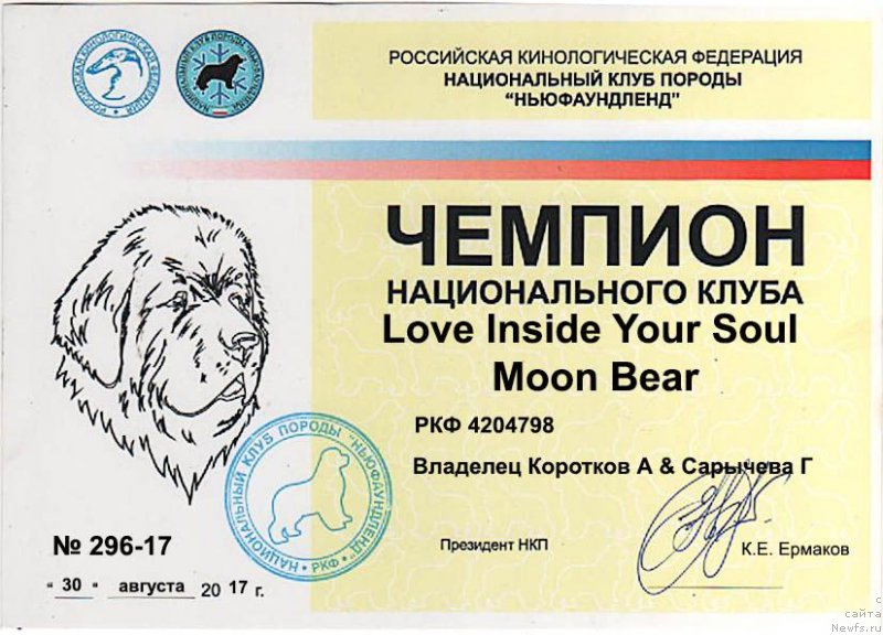 Фото: ньюфаундленд Love Inside Your Soul Moon Bear