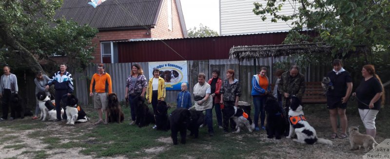 Фотография № 229262