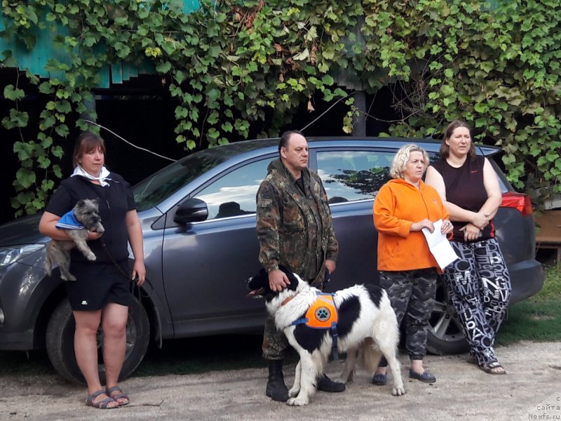 Фотография № 229263