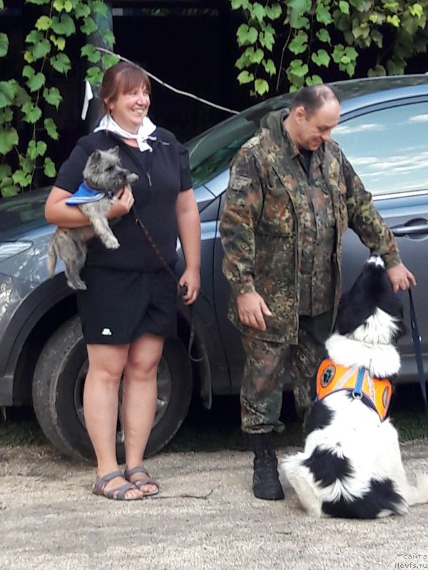 Фотография № 229266