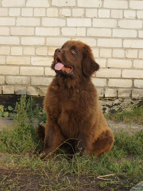 Фотография № 229281