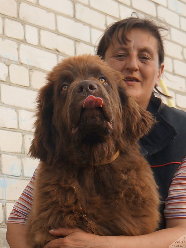 Фотография № 229284