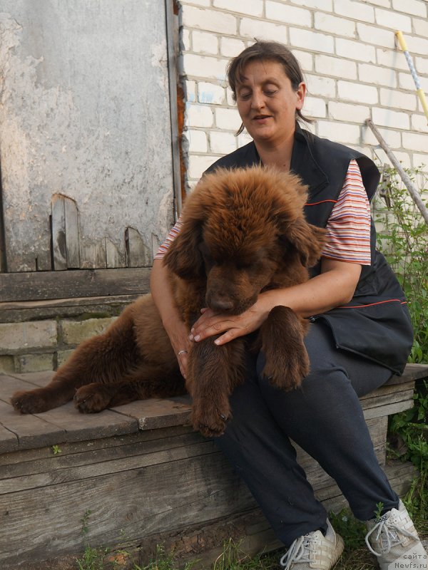 Фотография № 229285