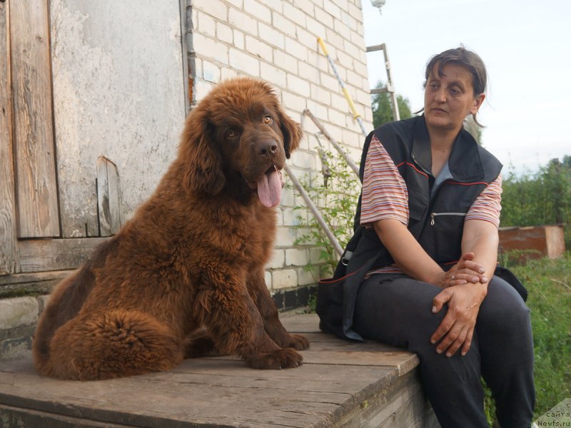 Фотография № 229288