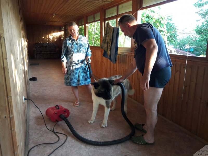 Фотография № 229293