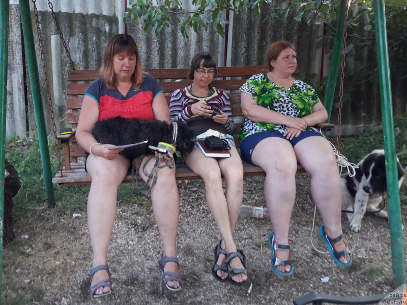 Фотография № 229294